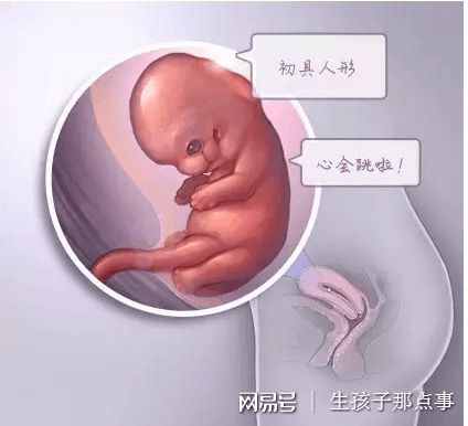高龄二胎